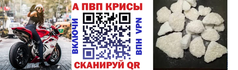 блэк спрут   Печоры  Альфа ПВП СК 