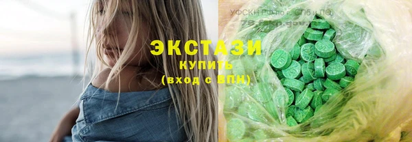 хмурый Алексин