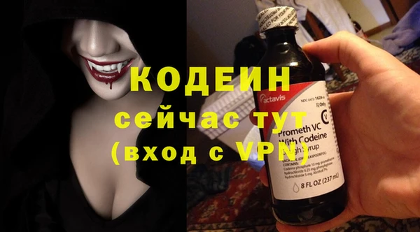 соль ск Няндома
