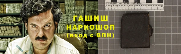 хмурый Алексин