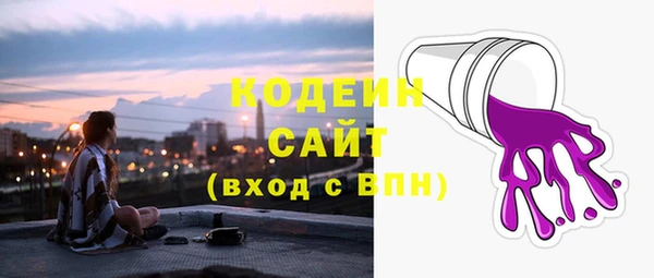 индика Нягань